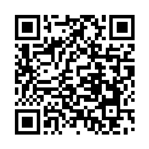 竟然会制造不出比人类复杂百倍的晶脑二维码生成