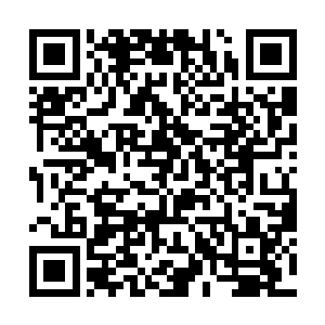 竟然会是地位与水无痕相当的四海宫两位宫主的大王二维码生成