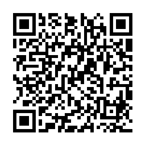 竟然全都无所畏惧的朝着天狼更加凶狠的扑了过去二维码生成