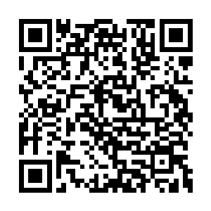 竟然击杀了司马宁这个可以越级挑战的三星王者二维码生成