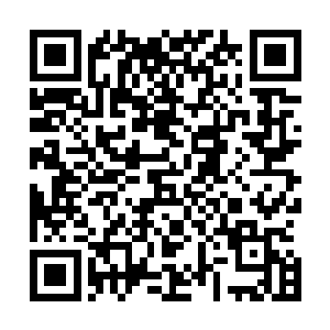 竟然击败了强势霸占战榜第十五位长达两年之久的大力熊王二维码生成