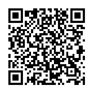 竟然另外几只被开膛的藏獒胃部中好像也有这东西二维码生成