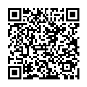 竟然只是在他的后背上砍出了一个不到一毫米深的刀痕二维码生成