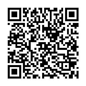 竟然只看了一眼花朵就差点被吸引……这到底什么东西二维码生成