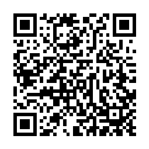 竟然可以如此迅雷不及掩耳之势的统一苏南市的地下秩序二维码生成
