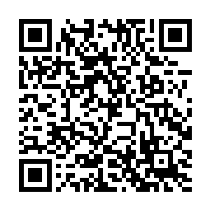 竟然在一瞬间就俘获了在场几乎所有女性记者的芳心二维码生成