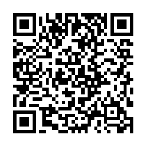 竟然在气运争夺战中全部击败了九星上人的天才对手二维码生成