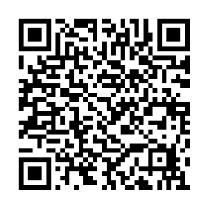 竟然在飞机上面遇到了马建和宋乔乔他们两个人二维码生成