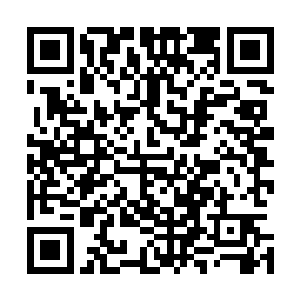 竟然备受主神空间的眷顾…这让她们这些小透明该如何自处二维码生成