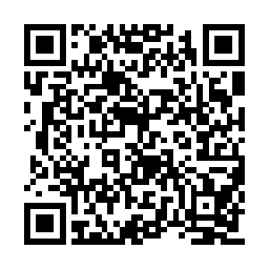 竟然就是一副静等两败俱伤坐收渔人之利的样子二维码生成