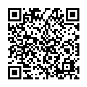 竟然就是在临河市鼎鼎大名的毒玫瑰集团的总裁李若萍二维码生成
