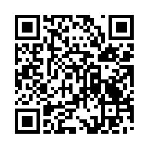 竟然就是自己最近刚刚收编的小毛驴阿二二维码生成