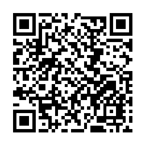 竟然就是豆豆所说的那个实力极为强悍的九阶梦级二维码生成