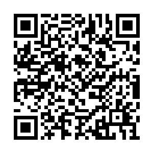 竟然就这么从将近两米高的铁栏杆校门跃了进来二维码生成