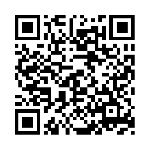 竟然带着整个家族的强大势力进驻到游戏中二维码生成