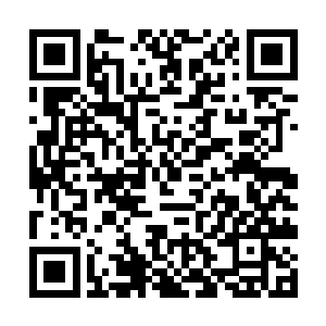 竟然幻化为一张看似蜘蛛网一般的大网向着剑尘罩去二维码生成