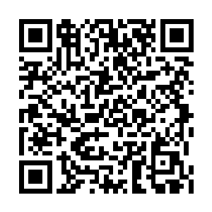 竟然想凭一万一千枚紫金币就买下一颗五阶魔核二维码生成