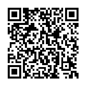 竟然找了这么一个不知道事情轻重的泰国老头子二维码生成