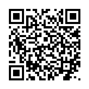 竟然把守护之山上的松老都给引动了二维码生成