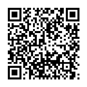 竟然敢在四大门派与天下人面前这般说自己门派的不是二维码生成