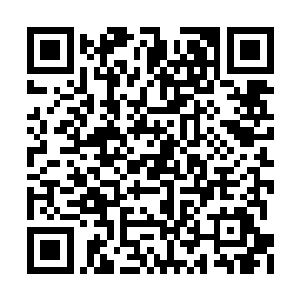 竟然敢直接与公司里除了叶凡以外的任何人叫板二维码生成