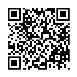 竟然是一个和自己一样的真气能量波动二维码生成