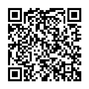 竟然是人族那个家伙的气息……当初趁着他和其师尊之间的矛盾二维码生成