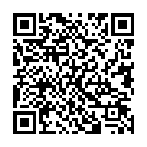 竟然是从空间裂缝里延伸出来的尽是看不到手臂之后的峥嵘二维码生成