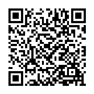 竟然是因为赵长枪一个类似恶作剧的灵机一动时二维码生成