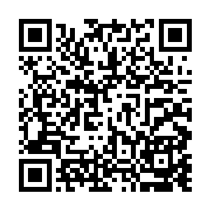 竟然是天琴家族的天舟和和另外两名被天舟带过来的人二维码生成