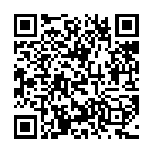 竟然是梵奇宗主在历练时无意救下的一个合欢宗的炉鼎二维码生成