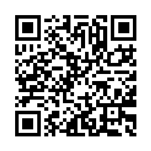 竟然是由好几百只诡异无比的虫子组成的二维码生成