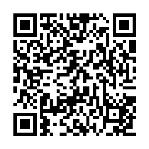 竟然是直接拿起刚才的那份文件认真的看了起来二维码生成
