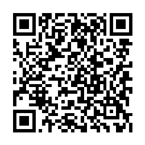 竟然是自己不能成为这个可以挽大宋天倾的人物二维码生成