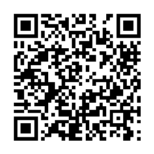 竟然有两个至少白莲五品以上修为的修士要杀自己二维码生成