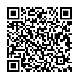 竟然有人能在那种规模的原子弹轰击下存活下来二维码生成