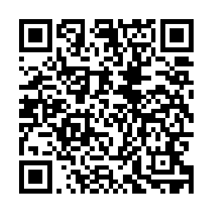 竟然有四五把刀狠狠斩落下来――自然尽数斩在钢五身上二维码生成