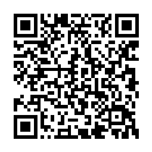 竟然有着天然的能够屏蔽各种感应的天禁纹存在二维码生成