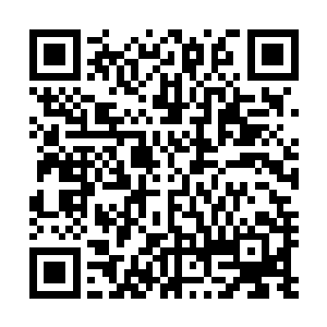 竟然毫发无损的杀掉了赤炎毒虬这只堪比炼丹境后期的双属二维码生成