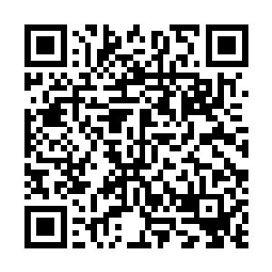 竟然沒有把这些实力仅在大地圣师境界的飞天蚁尽数斩杀二维码生成