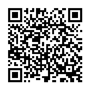 竟然没有在任何典籍或者其他成功出去过的修士口中听到二维码生成