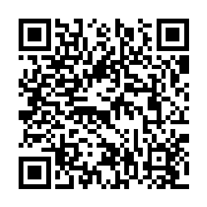 竟然甘愿留在远蛮界岛如此一僻远贫瘠的界岛之上二维码生成