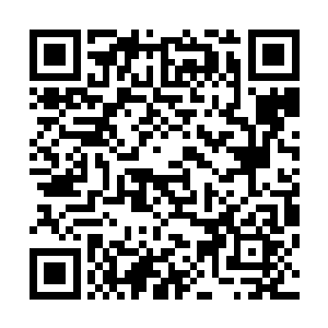 竟然直接他这一剑上蕴含的可怕力量给轰得剧烈颤抖了起来二维码生成