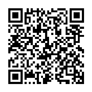 竟然直接白那白虎一般的璀璨刀芒给硬生生的轰击出了无数裂纹二维码生成