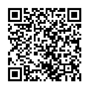 竟然直接跃起把快来到李大可跟前的盗匪压爬在了地上二维码生成