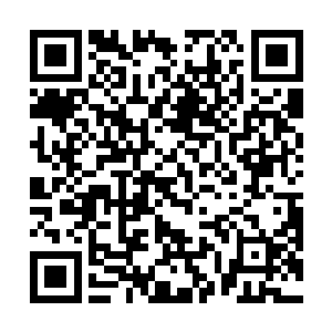 竟然真的不知道该如何区分数据堆砌出来的虚拟小人儿二维码生成