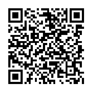 竟然真的威胁到了他们六位诛仙群岛的绝顶天才二维码生成