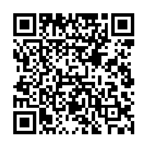 竟然真的摆了一个散发着恶臭不知死了多久的人类脑袋二维码生成