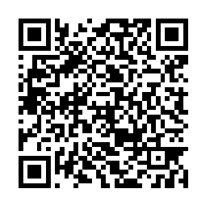 竟然硬生生地将李川这一连串疾风骤雨的攻势挡下二维码生成