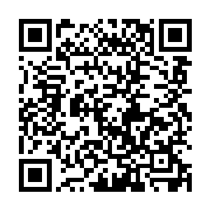 竟然硬生生的从秦逆流打出的蓝色劲气洪流中跻身出来二维码生成